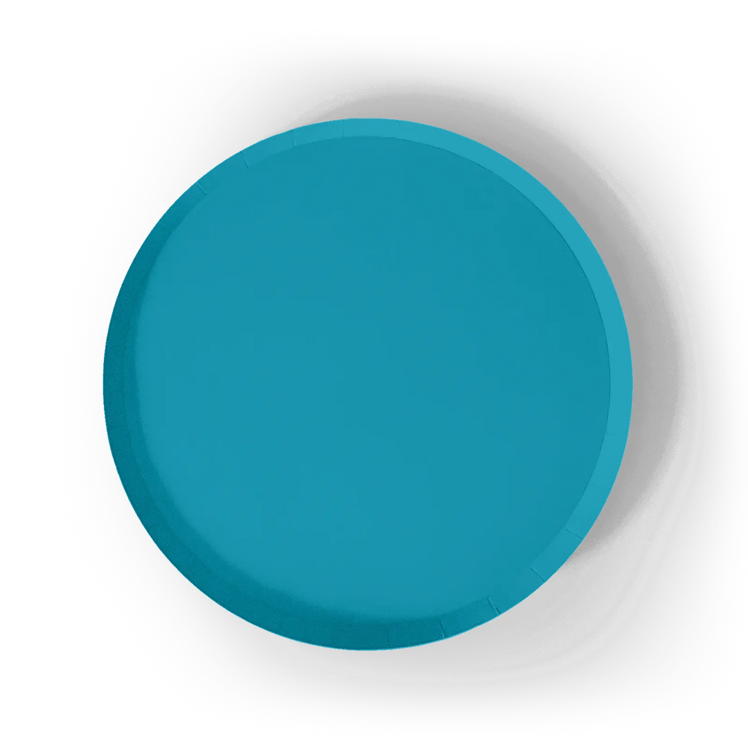 Aqua Blue Paper Party Plate (8pcs) - Josi James - 9 Inch Plate