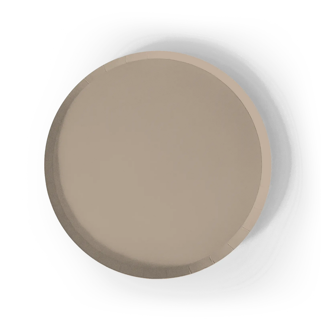 Beige Paper Party Plate (12pcs) - Josi James - 9 Inch Plate