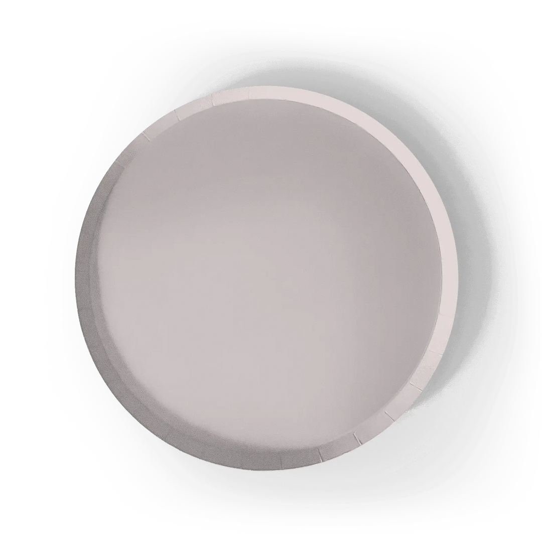 Gray Paper Party Plate (8pcs) - Josi James - 9 Inch Plate