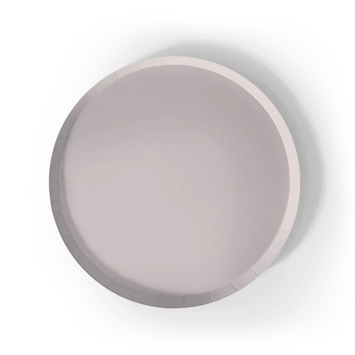 Gray Paper Party Plate (8pcs) - Josi James - 9 Inch Plate