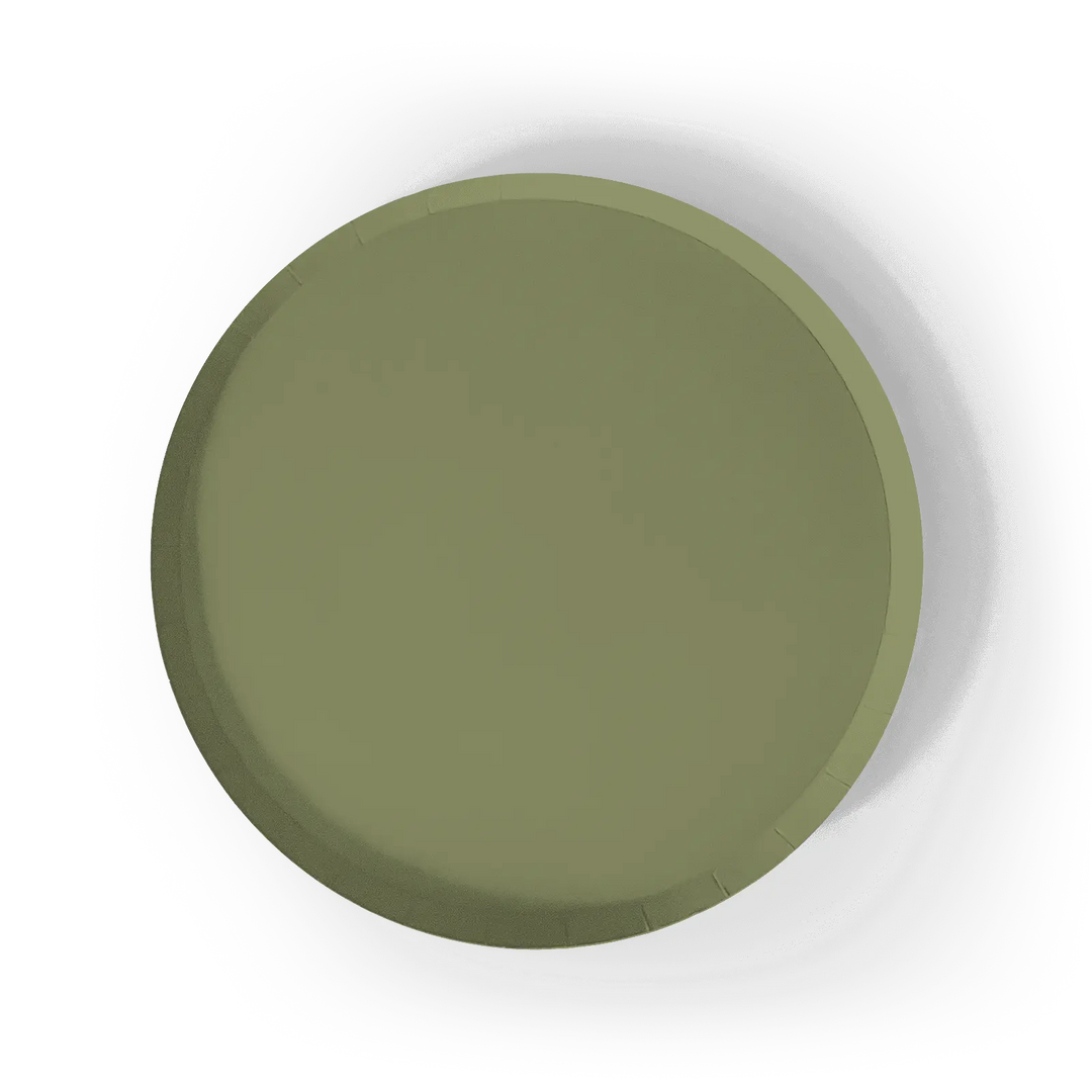 Green Paper Party Plate (12pcs) - Josi James - 9 Inch Plate