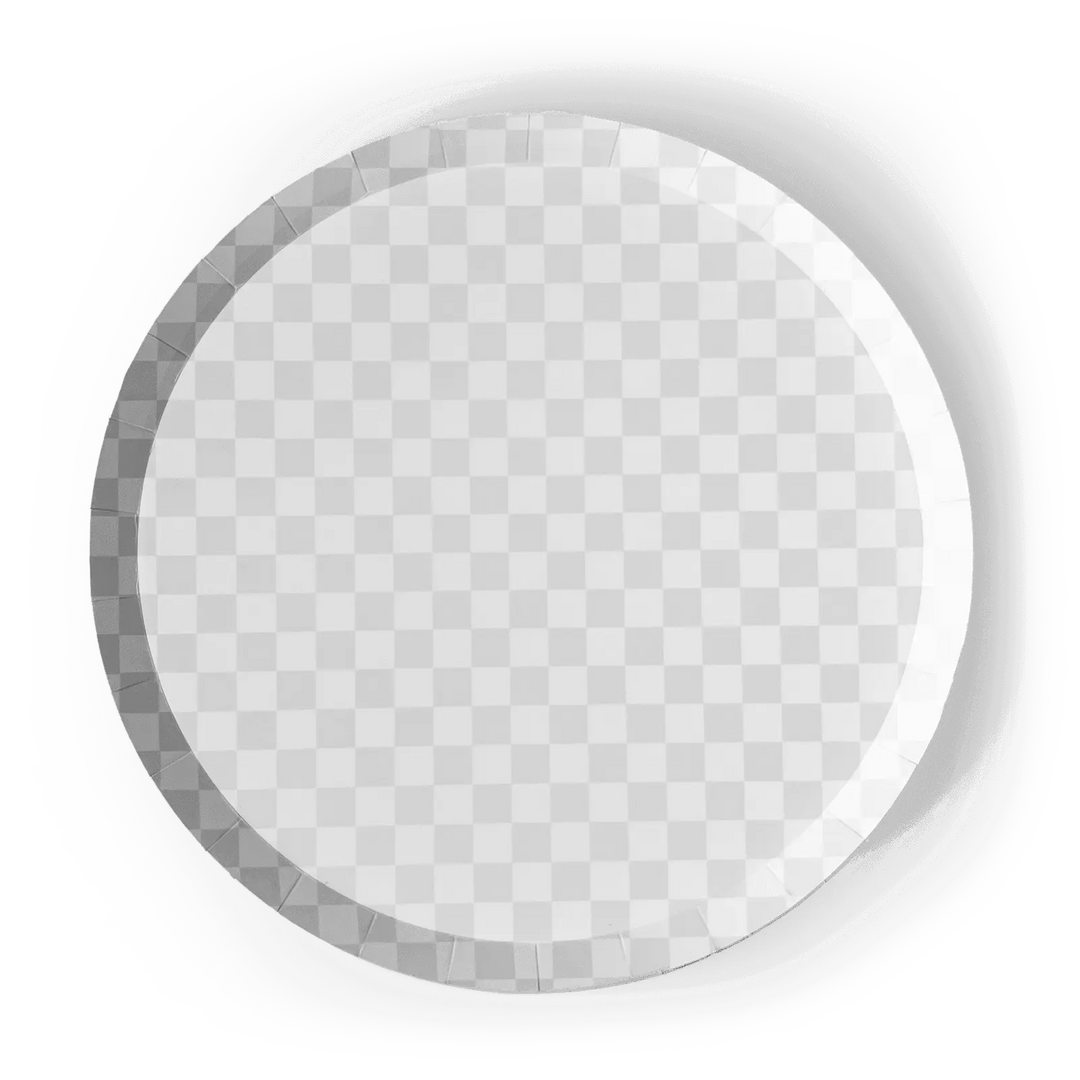 Premium Checkered Light Gray Plate (8pcs) - Josi James - 10.5 Inch Plate